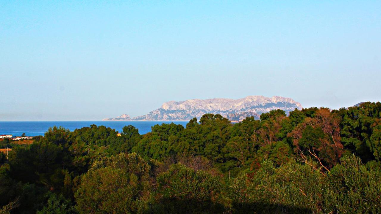 Sole Matto Rooms Olbia Ngoại thất bức ảnh
