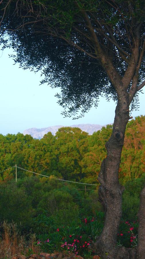 Sole Matto Rooms Olbia Ngoại thất bức ảnh