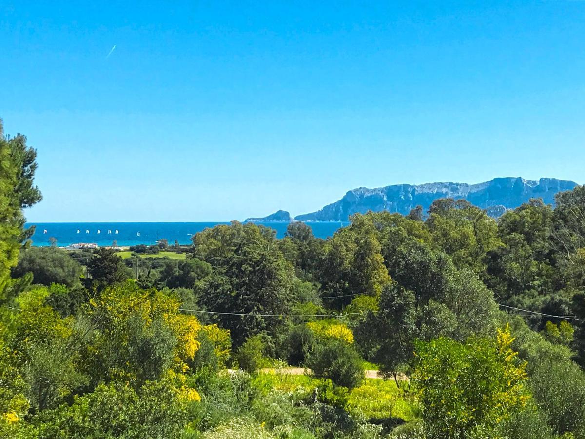 Sole Matto Rooms Olbia Ngoại thất bức ảnh