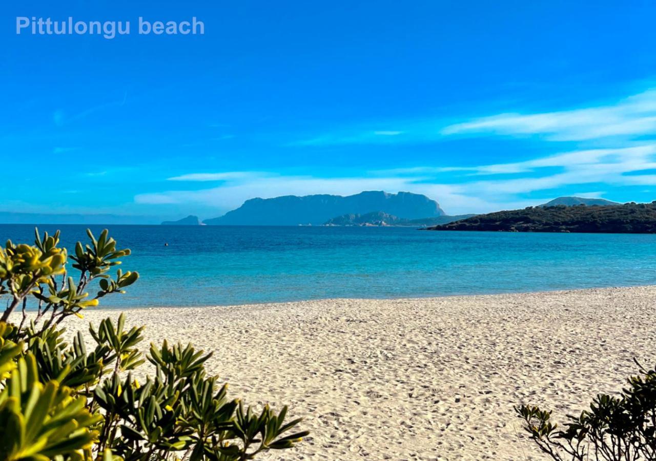 Sole Matto Rooms Olbia Ngoại thất bức ảnh
